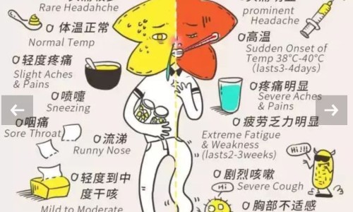 除湿的食物磨成粉能吃吗-权威除湿的食物磨成粉可以吃吗平台,分享专业除湿的食物磨成粉可以吃吗知识_除湿的食物磨成粉网