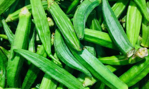 权威除湿的食物磨成粉可以吃吗平台,分享专业除湿的食物磨成粉可以吃吗知识_除湿的食物磨成粉网
